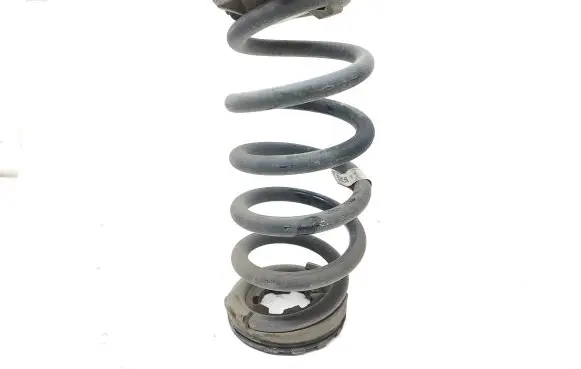 Jaguar E-Pace Rear coil spring