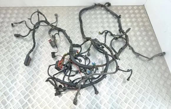 Opel Vectra C Other wiring loom 13194902