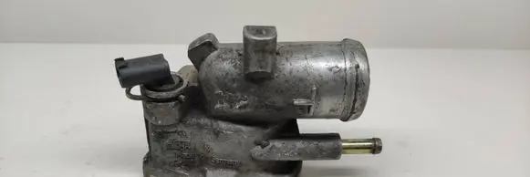 Thermostat/thermostat housing