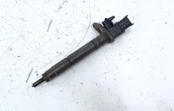 Land Rover Range Rover Sport L320 Fuel injector 9X2Q9K546DB 0445116 0445116013