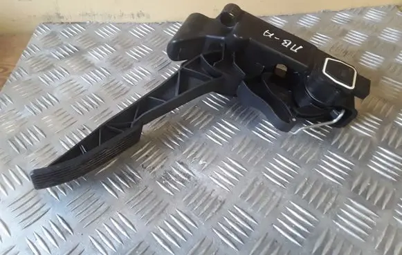 Mercedes-Benz A W169 Accelerator throttle pedal A1693000404 91754020