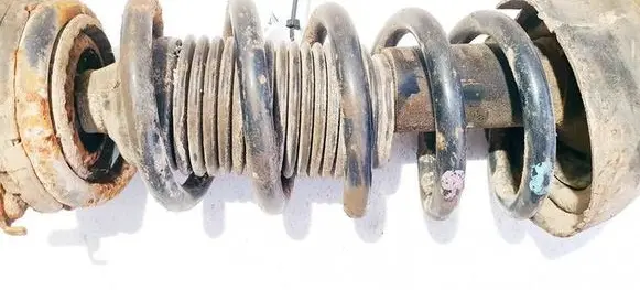 Rear coil spring