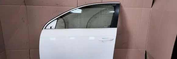 Volkswagen PASSAT B7 Front door 