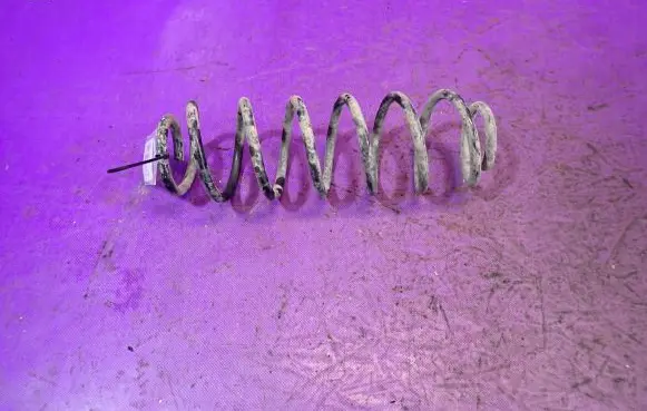 Rear coil spring