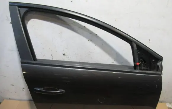 Fiat Bravo Front door