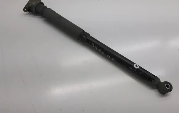 Ford Transit - Tourneo Connect Rear shock absorber/damper EY1618080DB