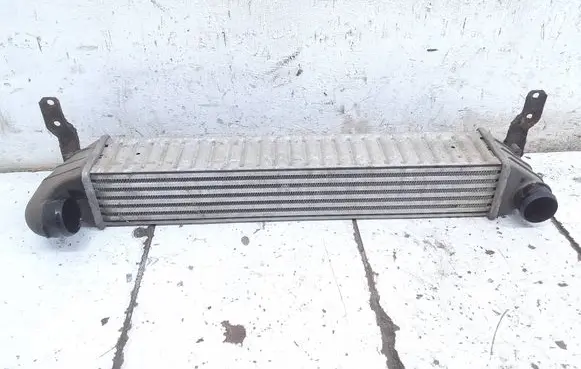 Seat Alhambra (Mk1) Intercooler radiator 
