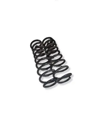 Ford Mustang V Rear coil spring 