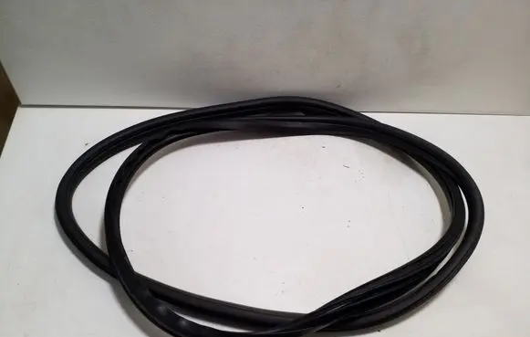 Fiat 500L Front door rubber seal