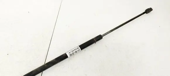 Tailgate/trunk strut/damper