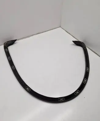 BMW X1 F48 F49 Front door rubber seal 