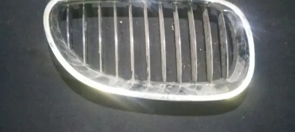 BMW X5 E53 Front grill