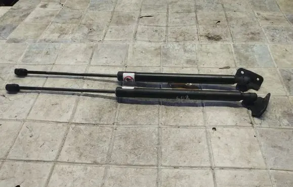 Ford B-MAX Tailgate/trunk strut/damper AV11R406A10AB