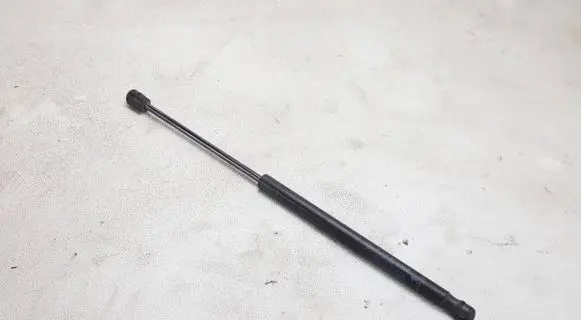 Dodge RAM 1500 DS Front bonnet/hood damper/strut 55372572AB 7798ZZ