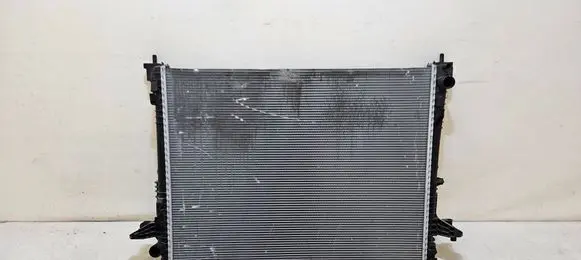 Renault Trafic III (X82) Coolant radiator 214106338R