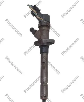 Peugeot 406 Fuel injector 0445110036 9637277980
