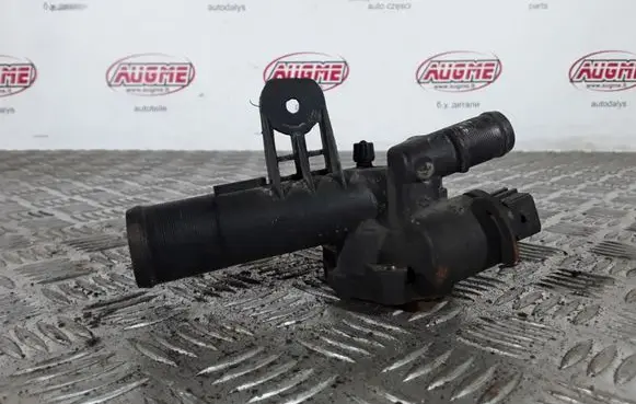 Thermostat/thermostat housing
