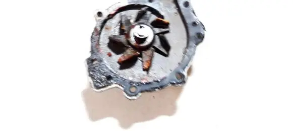 Water pump