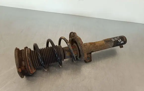 Volkswagen PASSAT B8 Front shock absorber with coil spring 