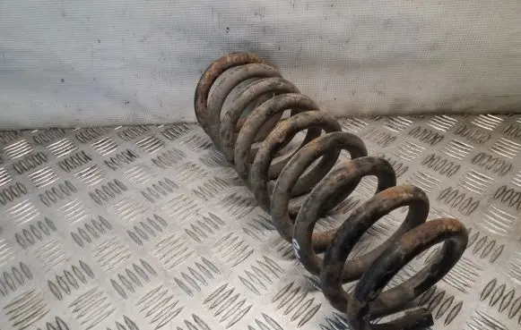 Front coil spring