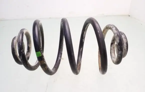 Rear coil spring