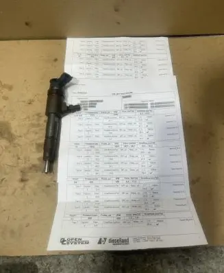 Citroen Berlingo Fuel injector 0445110340 870692