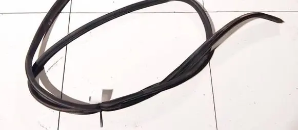 Ford S-MAX Rubber seal rear door 