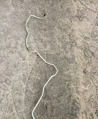 Fuel line/pipe/hose