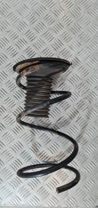 Toyota RAV 4 (XA20) Front coil spring