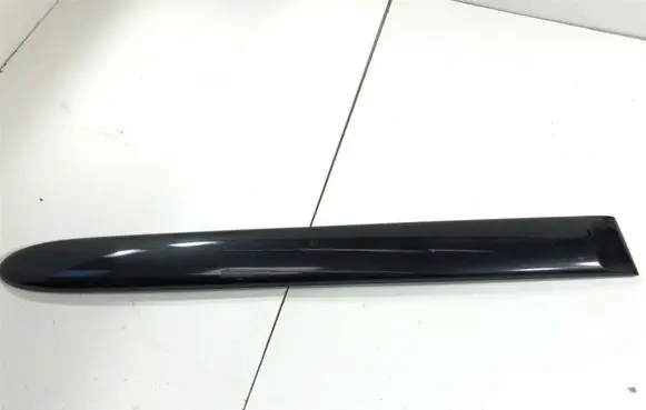 Rear door trim (molding)