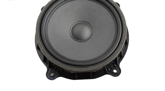 Tesla Model Y Front door speaker 107974400E
