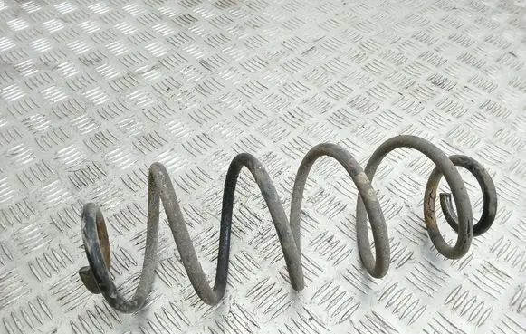Rear coil spring