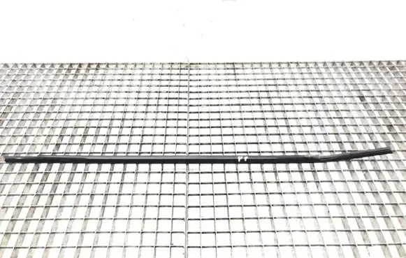 BMW X6 E71 Front door glass trim molding 