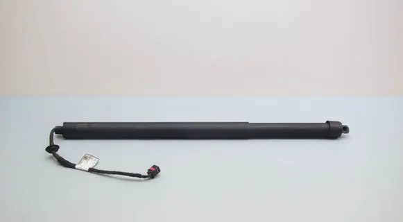 Tailgate/trunk strut/damper