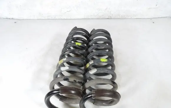 Rear coil spring