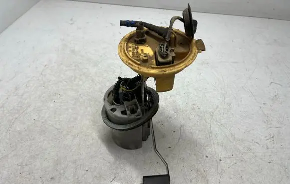 Volkswagen PASSAT B6 In-tank fuel pump 3C0919050G