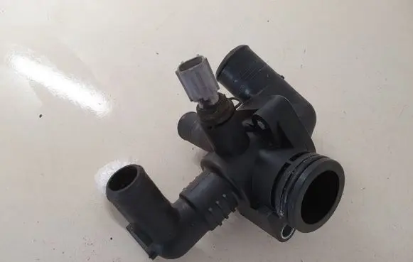 Thermostat/thermostat housing