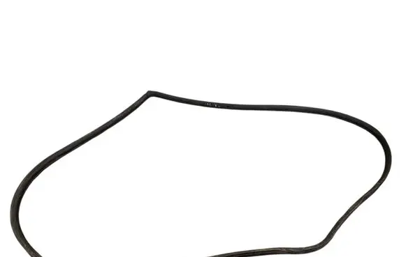 SsangYong Rexton I Front door rubber seal 