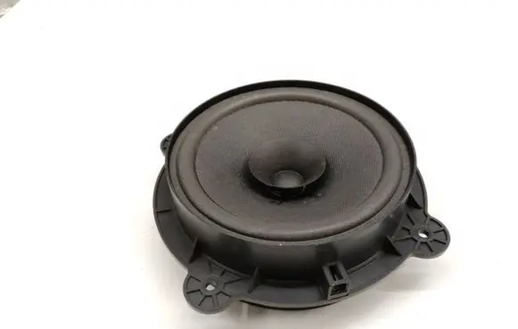 Rear door speaker