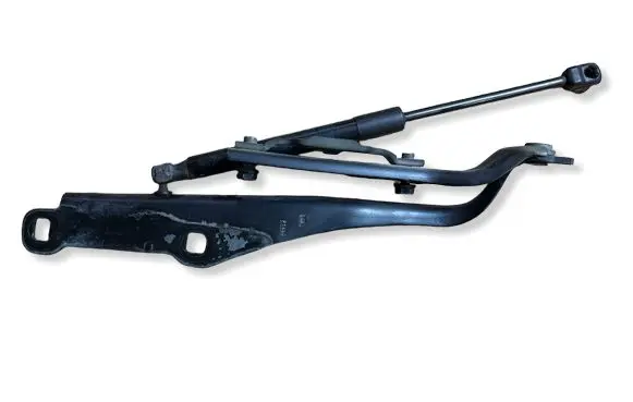 Dodge Charger Engine bonnet/hood hinges P1490
