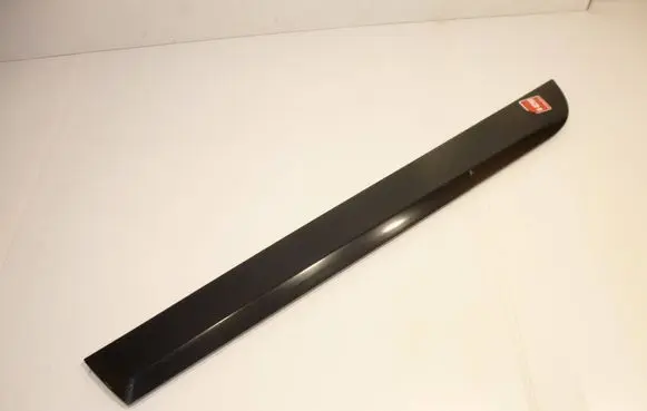 Rear door trim (molding)