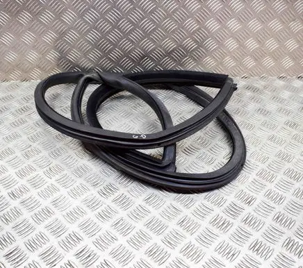 Citroen C6 Rubber seal rear door 9653650880