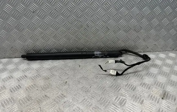 Tailgate/trunk strut/damper