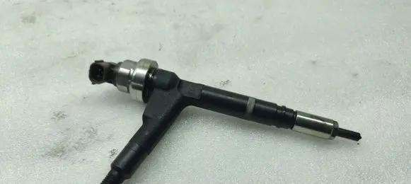 Opel Combo C Fuel injector 8973138612