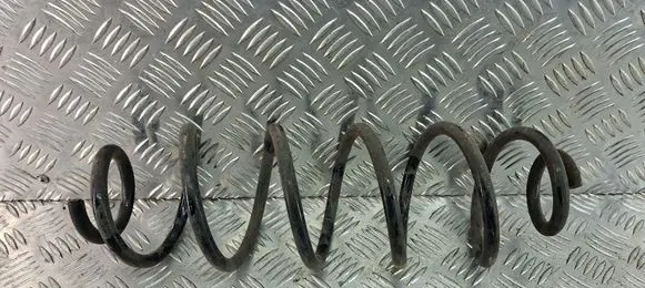 Rear coil spring