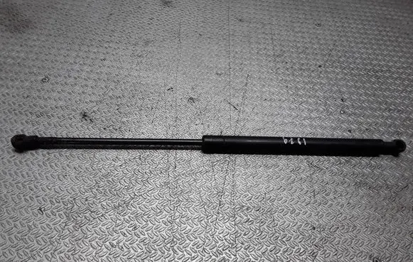 Front bonnet/hood damper/strut