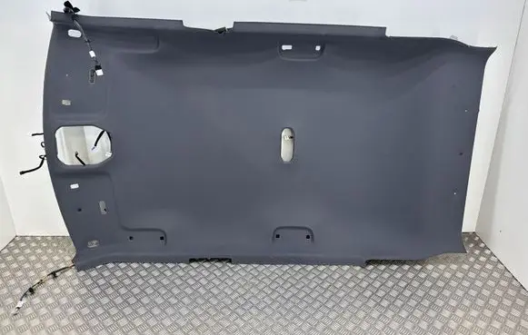 KIA EV3 Headlining