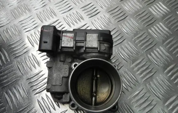 Throttle body valve