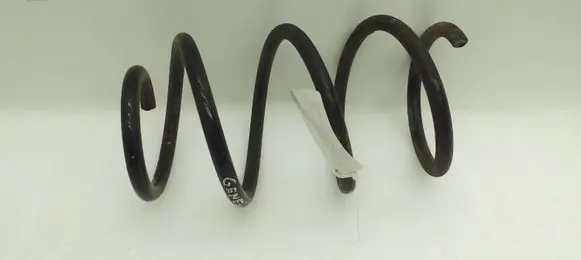 Front coil spring