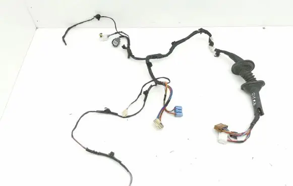 Front door wiring loom